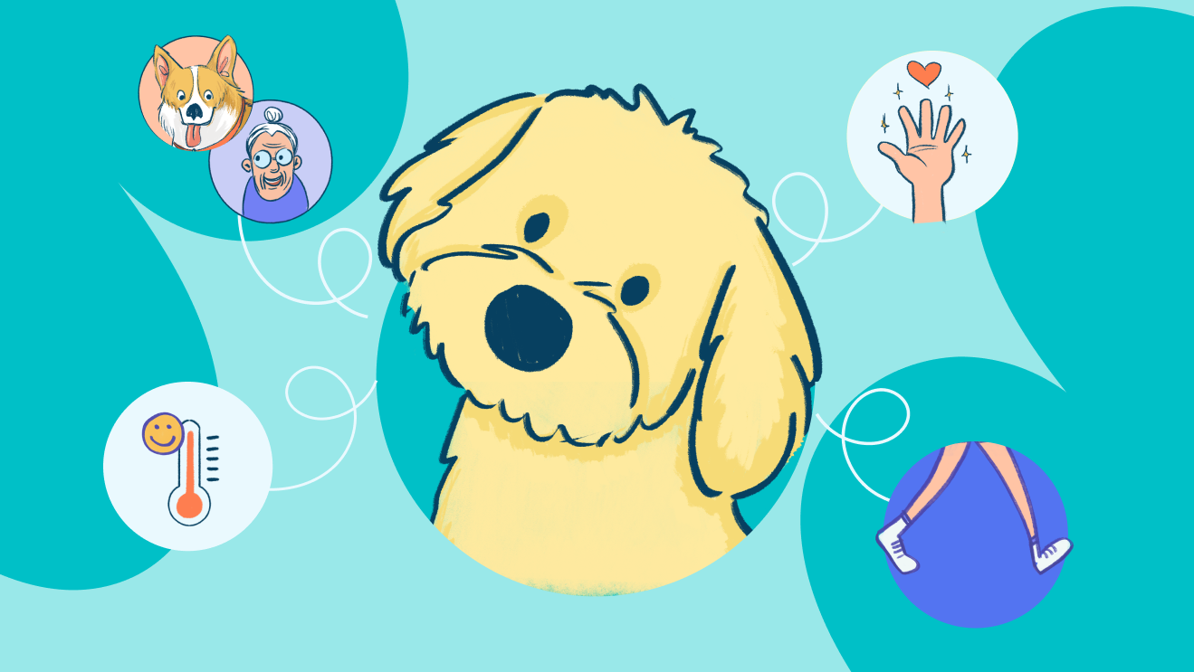 How pets can help us as we grow older. How pets can help us as we grow older.